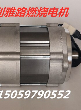 新品RIELLO利雅路燃烧器FS10/GS1E0/FS20/GS20电机 燃烧机马达