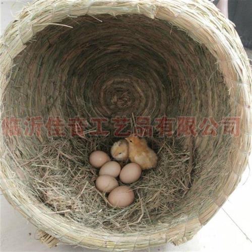 极速母鸡草窝下蛋窝鸡鸭鹅家畜窝孵蛋母鸡笼鸡窝罐V子形状母鸡下