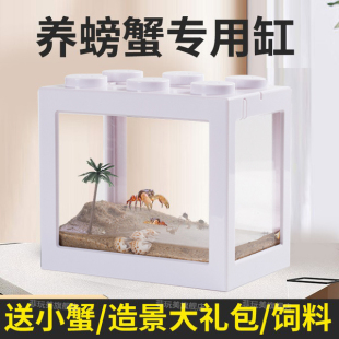新品螃蟹缸造景生态专用缸沙蟹观赏养寄J居辣椒蟹小宠物饲养盒躲