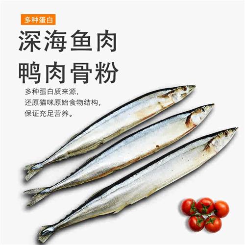 极速斯芬克d斯专用猫粮无毛猫成幼猫全阶段鲑鱼鸡肉发腮2斤4斤小