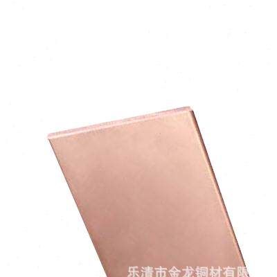 新品铜排 Tf3T2无氧镀锡 紫铜排 可分切机房接地母线软铜排 接地