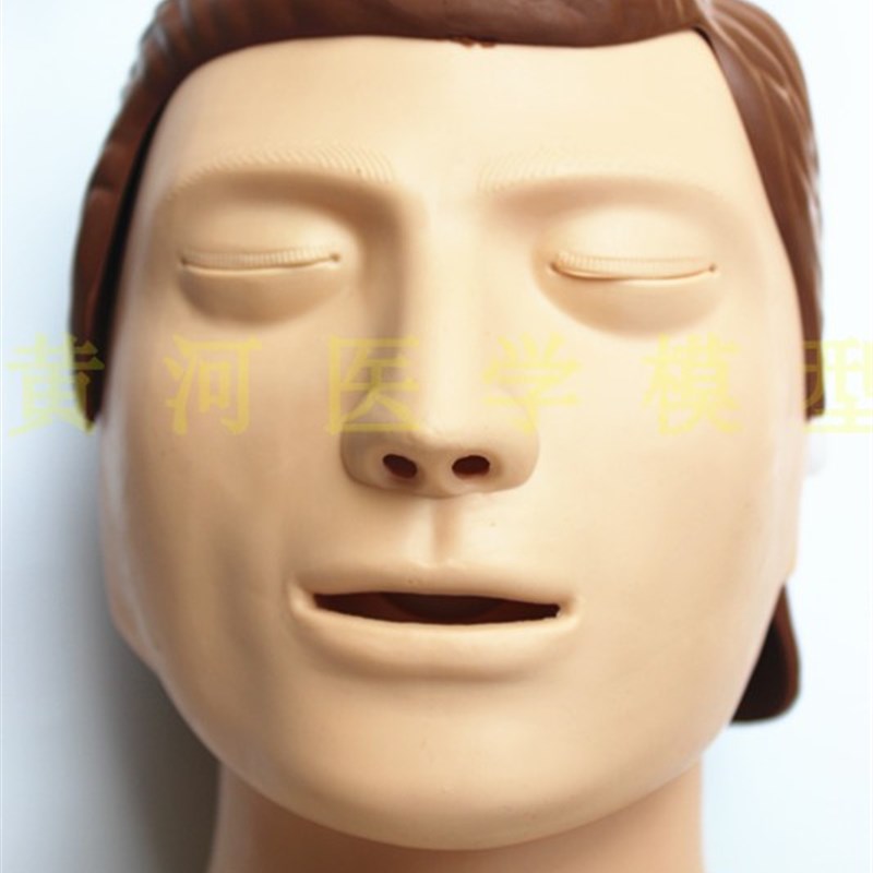 极速CPR480 心肺复苏模u拟人 医学训练假人 急救橡皮人体急救模特