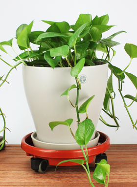 极速花盆托盘万向轮家用树脂红色圆形加厚塑M料接水移动花盆底座