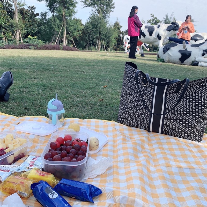 极速户外野餐垫现货600D牛津布防潮地垫野餐R垫帐篷垫春游沙滩垫