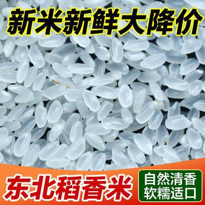 新品东北大米2024年新米10斤长粒香秋田小町5kg香米10kg珍珠米香