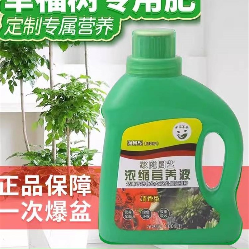 极速幸福树d专用肥料营养液治落叶黄叶枯叶叶斑病室内绿植盆栽花