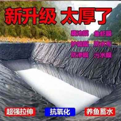 极速厂销厂销f新品鱼塘防渗膜鱼池防水地膜水产养殖膜布蓄水池防
