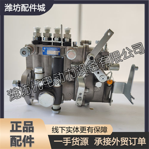 潍坊4100潍柴4102发动机ZH4105铲车喷油泵康达柴油泵汇尔高压油泵