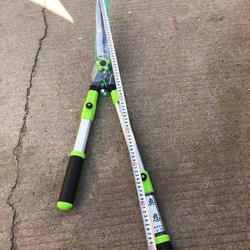 【厂家直供】园艺剪刀 果树剪 茶树剪 伸缩柄园林大花剪园林工具