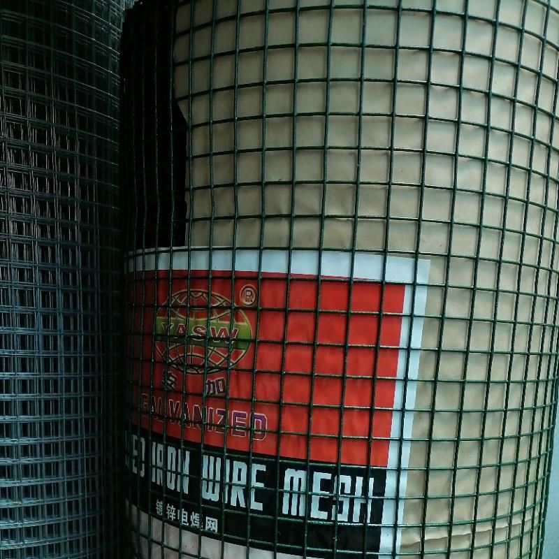 供应浸塑电焊网绿色网铁丝网 镀锌电焊网 70丝1/2孔