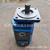 11C0187 柳工835装 载机双联齿轮泵 P124系列液压泵