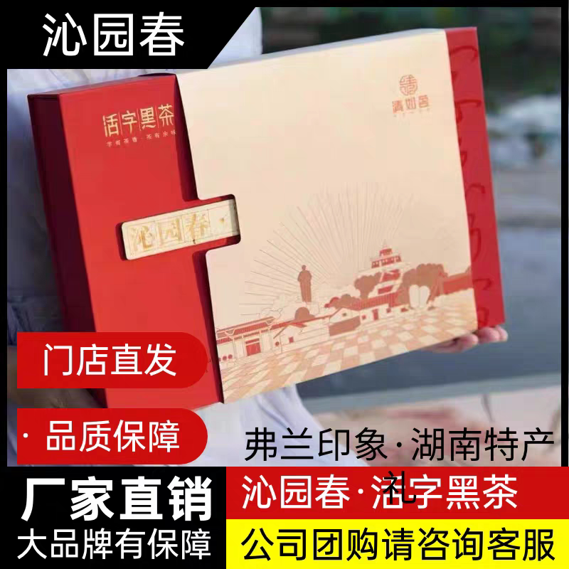 湖南特产 清如茗 沁园春·雪 活字黑茶非遗文创茶 207g/盒