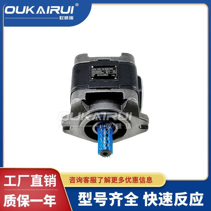 速发齿轮泵HG1/HG0/HG2-80/125-01R-VPC内啮合液压伺服油泵双联现