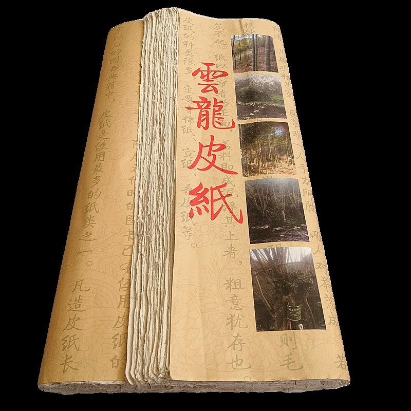 4四尺6六尺云龙皮纸o加厚手工宣纸半生熟毛笔书法国画专用作品纸