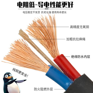 纯铜牛筋线二芯软电缆防冻电线插头带线C2.5 4 1.5平方户外电源线