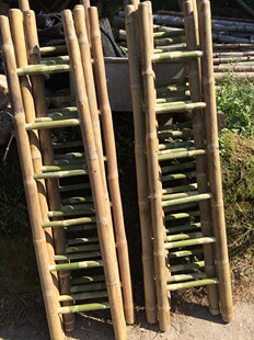 毛竹梯子 一字梯直梯子竹爬梯小孩子爬梯儿童户外玩具竹制品玩具