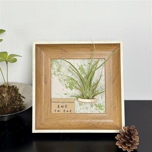 ins空气凤梨套餐懒人现代装饰画框复古桌面挂墙原木白边相框5寸