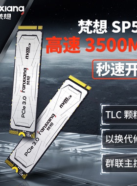 梵想SP510 M2固态硬盘1T 500G台式SSD电脑NVMe笔记本PCIE3.0 2280