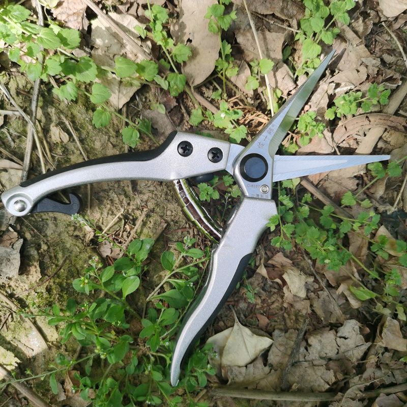 台湾佐一郎8167长头摘果剪刀稀果剪葡萄剪橘子果树采果剪家用修枝,工业油品/胶粘/化学/实验室用品,实验室漏斗,淘宝优惠券,粉丝福利购,淘宝优惠卷