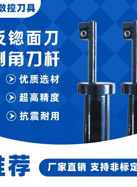 舍弃式机夹反刮刀背锪反拉刀偏心反刮倒角镗刀杆厂家直销非标定做