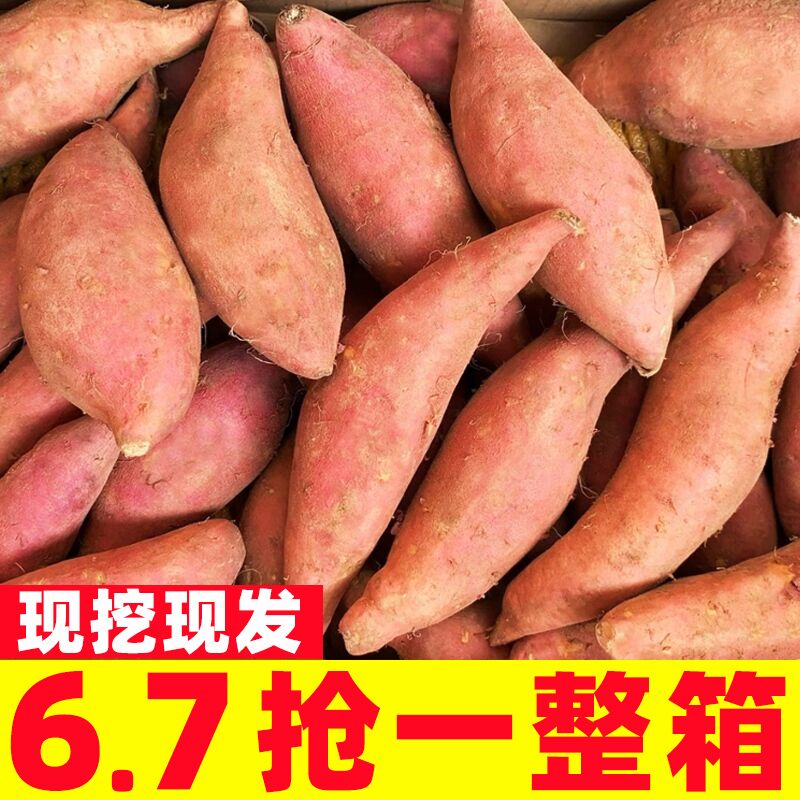 红薯正宗西瓜红蜜薯糖心新鲜番薯板栗六鳌沙地地瓜山芋农家自种10