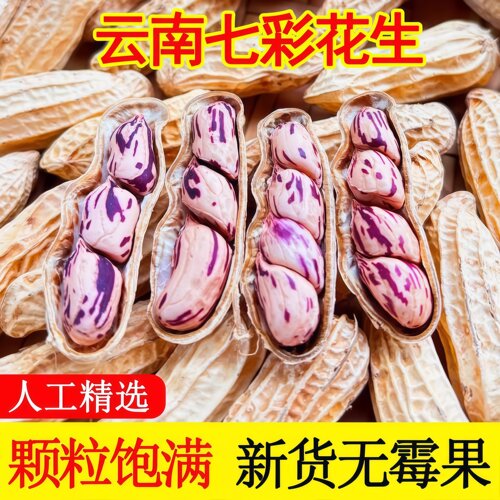 2025新货七彩花生云南水煮咸干