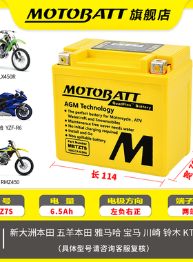 百特雅马哈155巧格125天剑宝马S1000R火刃飞致150铃木250原装电瓶