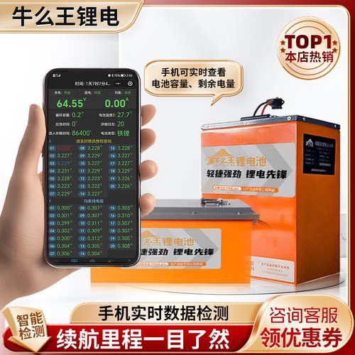 牛么王锂电池亿纬系列60V锂电池大容量72V电动车锂电池两轮三轮车