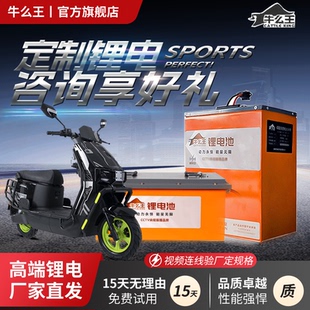 牛么王锂电池磷酸铁锂电动车三轮车四轮车电瓶60V72V电池九号小牛
