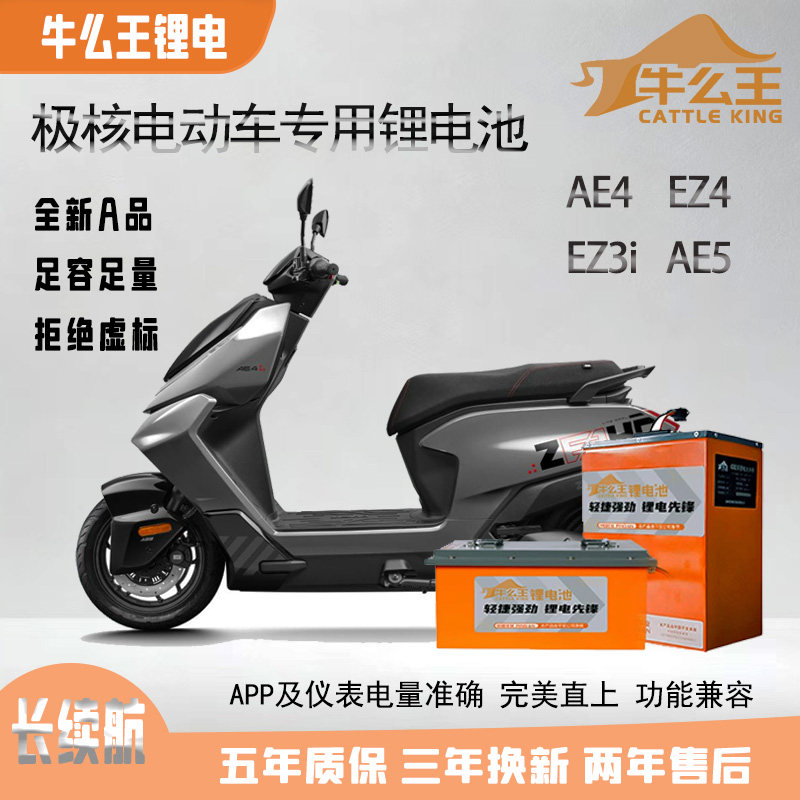 极核系列锂电池无损直上适用于AE4EZ4EZ3iAE5电摩60V72Ｖ锂电池