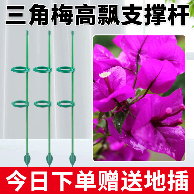 速发梅角三高飘支撑杆爬藤架植物支撑杆造定器花架固型支架造型花