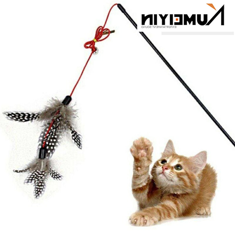 速发-1 ry PetP Dog e f   l ys  s