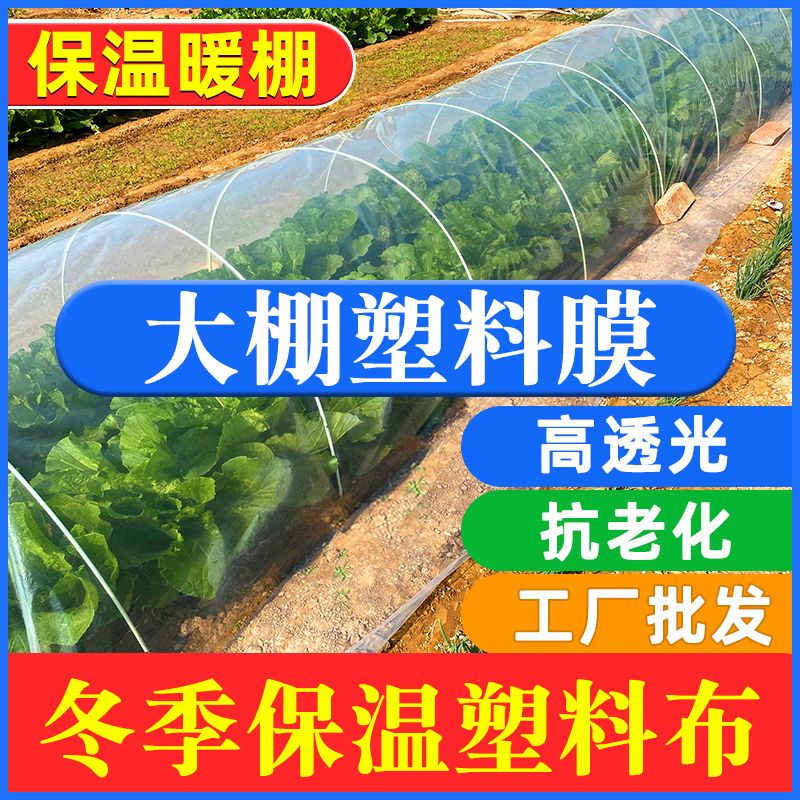 速发大棚保温膜菜棚塑料膜蔬厚防寒透明薄塑加菜拱棚膜暖棚膜料布