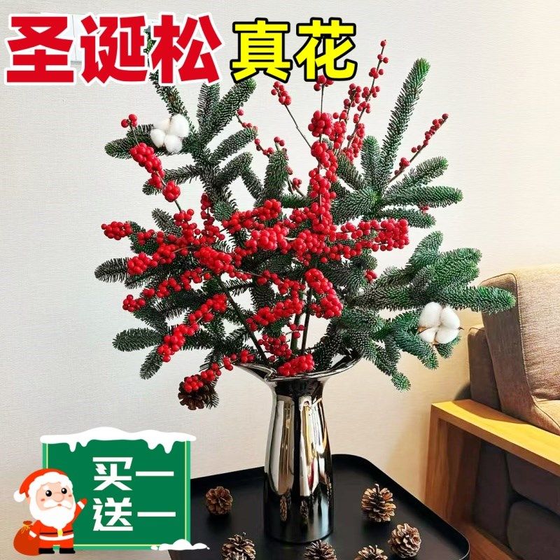 速发诺贝松真果2025新款圣诞树北美冬红青树装饰材料鲜切插花