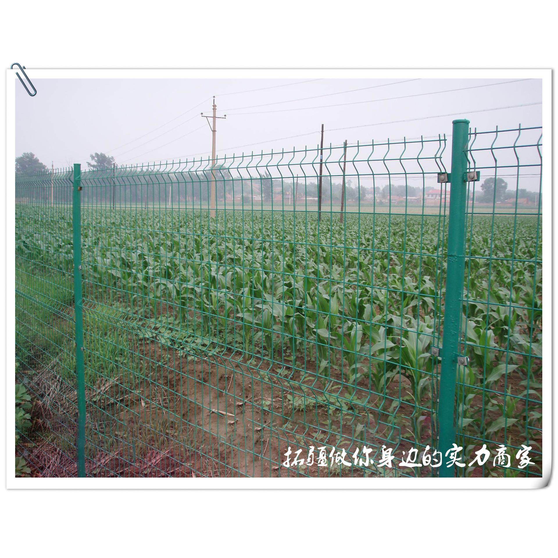 包塑铁丝围栏网 光伏发电站隔离防护围栏网,金属材料及制品,其他金属制品,淘宝优惠券,粉丝福利购,淘宝优惠卷