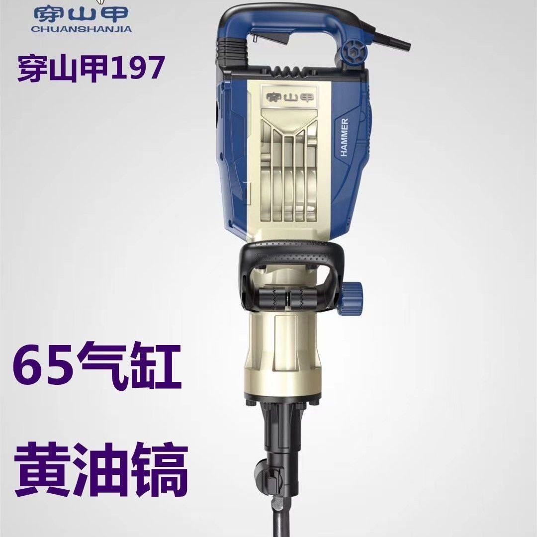 穿山甲197电镐大功率工业级非电锤专业混泥土破碎电镐黄油镐,清洗/食品/商业设备,其他食品加工设备,淘宝优惠券,粉丝福利购,淘宝优惠卷