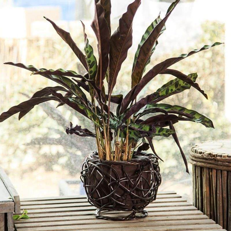 北欧创意草编柳编藤编篮子插花栽花花篮手工编织花盆摆件客厅装饰,收纳整理,其他收纳篮,淘宝优惠券,粉丝福利购,淘宝优惠卷