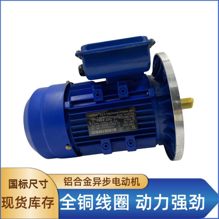 220V双电容单相异步电动机YC/YL7124-0.37KW电机可非标订货