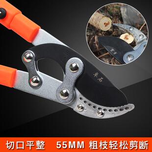 园艺伸缩粗枝剪高枝剪刀大力剪省力园林工具强力修剪树枝果树剪子