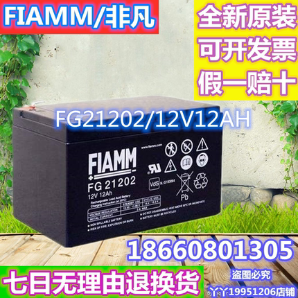 FIAMM非凡蓄电池FG21202/12V12AH阀控式铅酸免维护电瓶应急电源