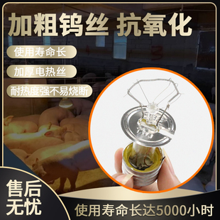 极速猪用保温灯养殖取o暖灯泡专用小仔猪保温箱畜牧养殖场加热烤
