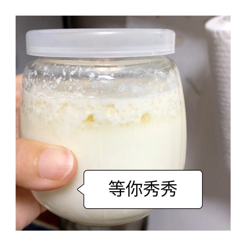 极速开菲尔菌种非雪莲藏灵菇自制酸奶发酵豆浆P椰浆大颗粒母种不