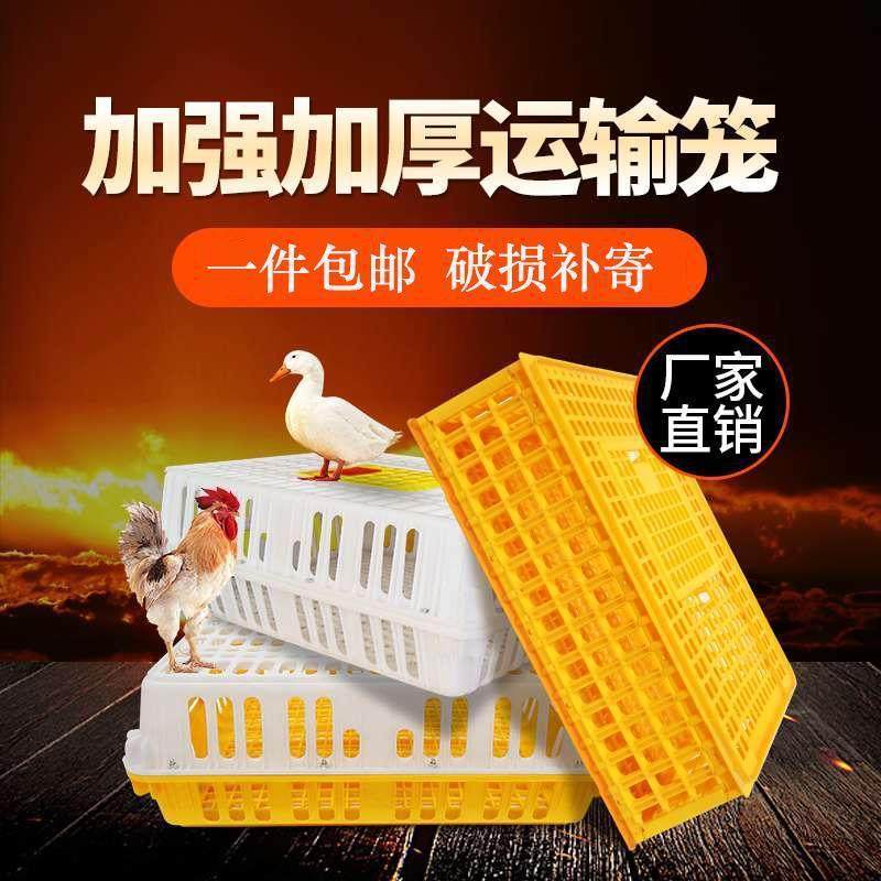 极速鸡笼子周转j箱新熟料加强加厚防摔养殖运输专用塑料鸡鸭鹅兔,畜牧/养殖物资,养殖笼具/鸡笼/兔笼/鸽笼,淘宝优惠券,粉丝福利购,淘宝优惠卷