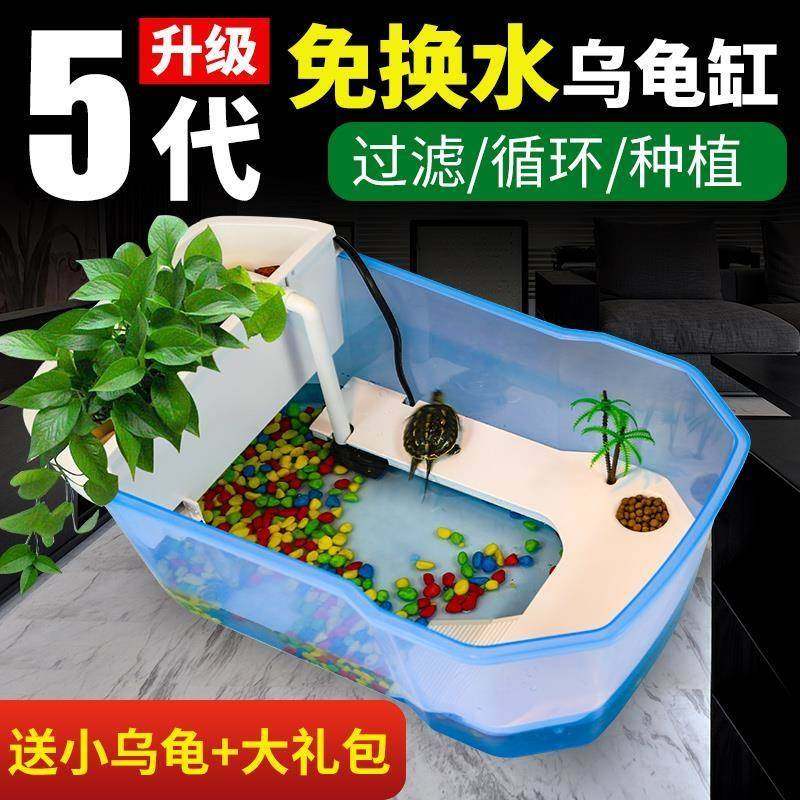 极速小学生适合养k的宠物小孩小宠物可以好养儿童迷你小乌龟活动,宠物/宠物食品及用品,龟/鳖,淘宝优惠券,粉丝福利购,淘宝优惠卷