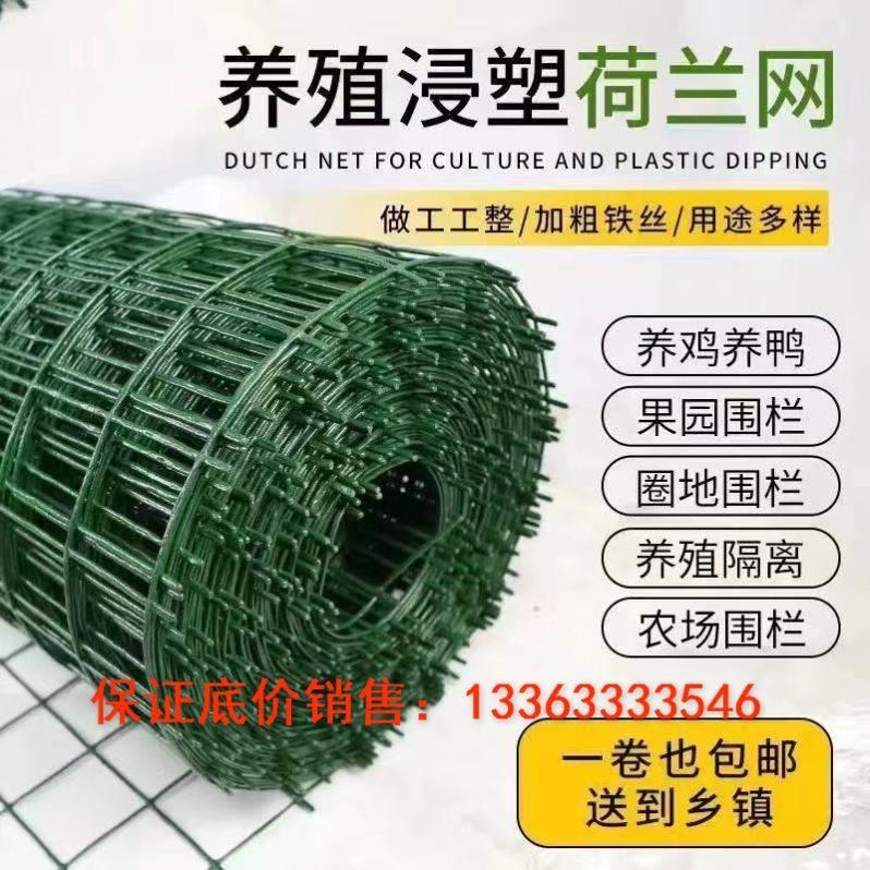 包塑铁丝网围栏养鸡网拦鸡网养殖网栅栏护栏果园防护网隔离铁网*