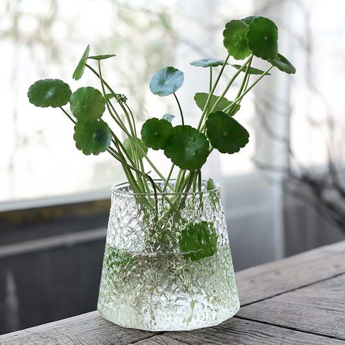 热销绿萝水培花盆器皿花瓶透明玻璃插花创意水养R植物花器客厅装