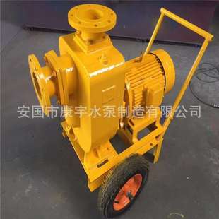 分体离心泵农用灌溉泵 现货速发ZW无堵塞自吸排污泵管道污水泵卧式