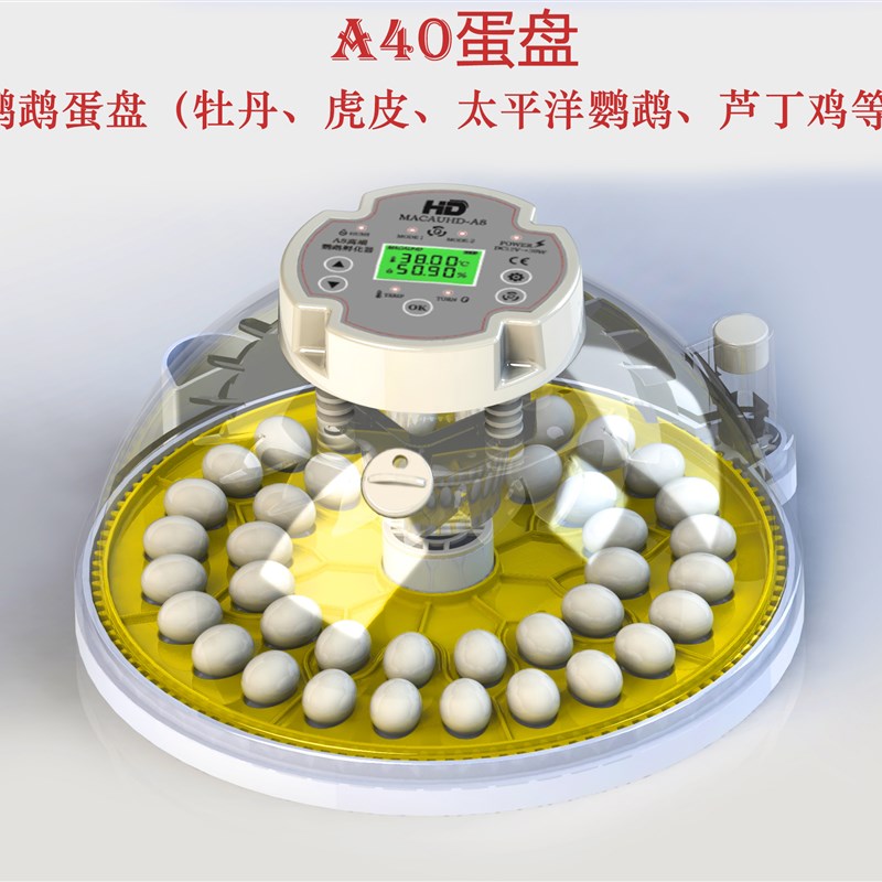 现货速发A8全自动高精度孵化器家用小型鹦鹉丝雀鸟类蛋恒温育雏保