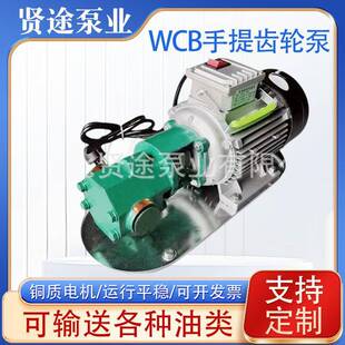 WCB手提齿轮泵手提式小型齿轮油泵便携式手提泵自吸式齿轮泵水泵