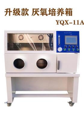 上海厂家生产自动型厌氧培养箱YQX-I触摸屏厌氧菌培养箱下单优惠